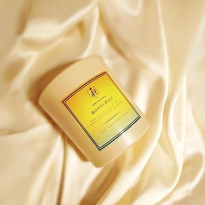 mango zestcire royale luxury scented candle non-paraffin 100 soy amp coconut wax blend gift for mango lovers festive season sale