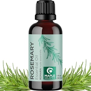 maple holistics anti aging antioxidant natural skin care pure rosemary essential oil ancient beauty elixir