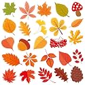 MARFOREVER 25 PCS Fall Window Gel Clings Party Window Glass Decorations