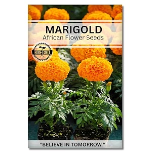navika seeds  grow with us marigold african flower seeds for home gardening perfect for terrace gardening winter and summer blooms in india - includes free e-book