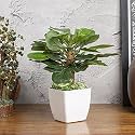 MARKET 99 Artificial Green Flower with Vase Plants for Home Decor | Table Top Decoration Pots | Showpiece for Dinning Table, Living Room, Bedroom, Wedding, Birthday, and Office Desk