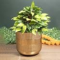 MARKET 99 Golden Hammered Metal Floor Vase, Decorative Flower Vase for Fresh &amp; Artificial Flowers, Large Home Décor Accent for Living Room, Bedroom, Office, Hotel, Reception &amp; Entryway Decoration