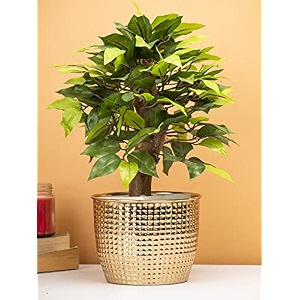 market99 golden metal hammered vase  decorative showpiece amp flower holder for home office study table living room cabinet restaurant and reception areas  strong amp durable centerpiece