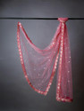 MARUTI KRUPA ENTERPRISE Net Embroidered Women Dupatta