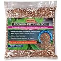 MASHKI Adenium Potting Soil for Cacti/Adenium/Bonsai Plants/Special Formulation Drainage Essential Soil/Anti Microbial Properties (5, Kilograms)