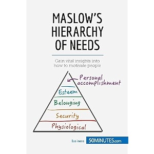 maslow39s hierarchy of needs gain vital insights into how to motivate people