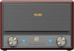 Matata MTMI16L 60 W Bluetooth Party Speaker