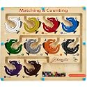 Educational Magnetic Color&Number Maze Toy