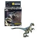 Mattel Jurassic World Hammond Collection Dinosaur Action Figure, Velociraptor 'Blue' Dino Toy with Articulation