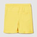 Max Boys Embroidered Shorts