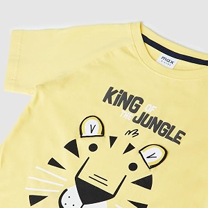 Max Boys Regular Fit Printed Raglan Sleeve