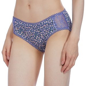 Max Womens Printed Lace-Detailed Hipster Panties