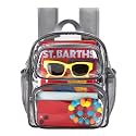MAY TREE Clear Backpack Stadium Approved 12x10x6, Transparent Bag
