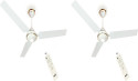 MAYA DCDECOECOTECHWHITE with 12 Months Warranty 1200 mm Ceiling Fan