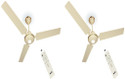 MAYA DCDECOECOTECHIVORY with 12 Months Warranty 1200 mm Ceiling Fan