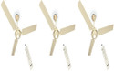 MAYA DCDECOECOTECHIVORY with 12 Months Warranty 1200 mm Ceiling Fan (Ivory3 | Pack of 3)