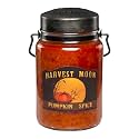 McCall’s Candles | Pumpkin Spice | 26 oz Scented Candle | USA-Poured | Vintage Rustic Jar with Carrying Handle | Warm Autumn Spice Fragrance