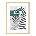 MCS Studio Gallery Frame, 16x22 Inch with 12x18 Inch Mat, Wall Art