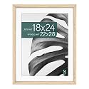 MCS Studio Gallery Frame, 22x28 Inch with 18x24 Inch Mat, Wall Art