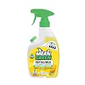 Mean Green Multi-Purpose Cleaner Concentrate, Citrus Green Tea, 14.3 Fl Oz (Pack of 6)
