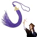 MECCANIXITY Graduation Tassel 2025, Purple Tassels with 2025 Year Gold Date Charms Academic Graduation Charm Cap Decorations Party Decorations