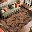 Medallion Vintage Look Carpet for Living Room