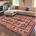 Medallion Vintage Look Carpet for Living Room