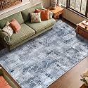 Medallion Vintage Look Carpet for Living Room