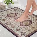 Medallion Vintage Look Carpet for Living Room