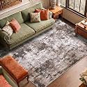 Medallion Vintage Look Carpet for Living Room