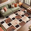 Medallion Vintage Look Carpet for Living Room