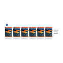 Medicare MAA R PAA Elastic Adhesive Bandage