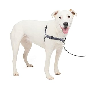 mediumlarge steel - petsafe deluxe easy walk harness