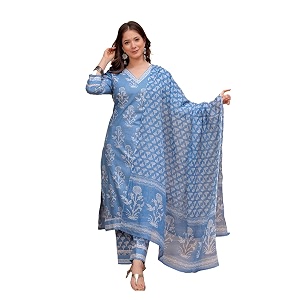 MEERA FAB Womens Cotton Blend Straight Printed