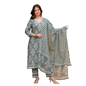 MEERA FAB Womens Cotton Blend Straight Printed