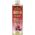 Apple Cider Vinegar with Mother Vinegar | Measuring Cap | Cold Pressed Himalayan Gold & Red Apple Juice for Men and Women (500ml (Pack of 1)