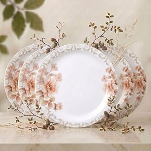melamine dinner plates  round full plate serving set  unbreakable plates  plates for breakfast lunch dinner  plates for home office restaurant  set of 6  11 inch39s lily shine