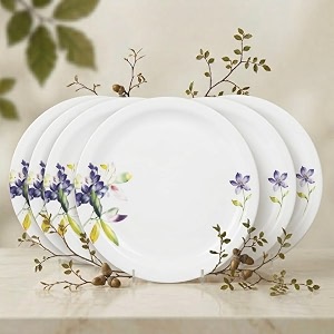 melamine dinner plates  round full plate serving set  unbreakable plates  plates for breakfast lunch dinner  plates for home office restaurant  set of 6  11 inch39s multi colour