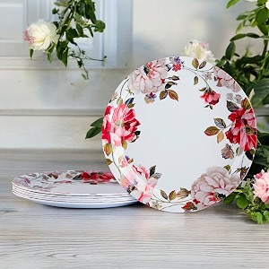 melamine dinner plates  round full plate serving set  unbreakable plates  plates for breakfast lunch dinner  plates for home office restaurant  set of 6  11 inch39s lily