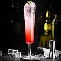 Melbify Mint Master Cocktail Glass | Set of 6 | 250 ml | Tall Mojito Glass | Highball Glass | Premium Cocktail Glass for Gin, Cocktail, Mocktails