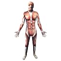 Men's Full Body Spandex/Lycra Suit