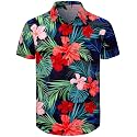 Men's Hawaiian Shirt Button Down Summer Short Sleeve Shirt