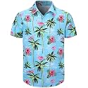 Men's Hawaiian Shirt Button Down Summer Short Sleeve Shirt