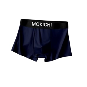 Mens Ice Silk Boxer Briefs for Men