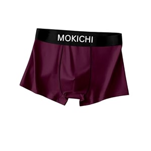 Mens Ice Silk Boxer Briefs for Men