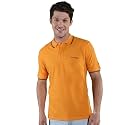 Men39s Polo T-Shirt Stand Alone 