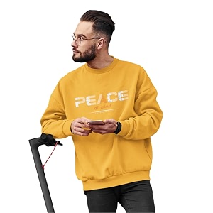 Men Regular Fit Crew-Neck Sweatshirt