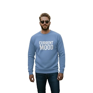 Men Regular Fit Fleece MaroonRound Neck PrintedSweatshirt-JM3763