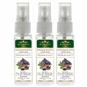 Menjewell Tonka Bean Patchouli Woody Musk Eau De Parfum For Men| Luxury Apparel Parfum| EDP For Men (Pack Of 3) 8ml