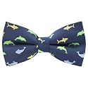 Mens Bow Tie Handmade Pre-Tied Fun Pattern Bow Ties for Men